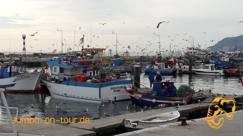  laden des Bildes fehlgeschlagen 