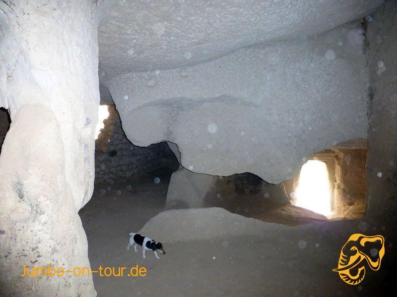  laden des Bildes fehlgeschlagen 
