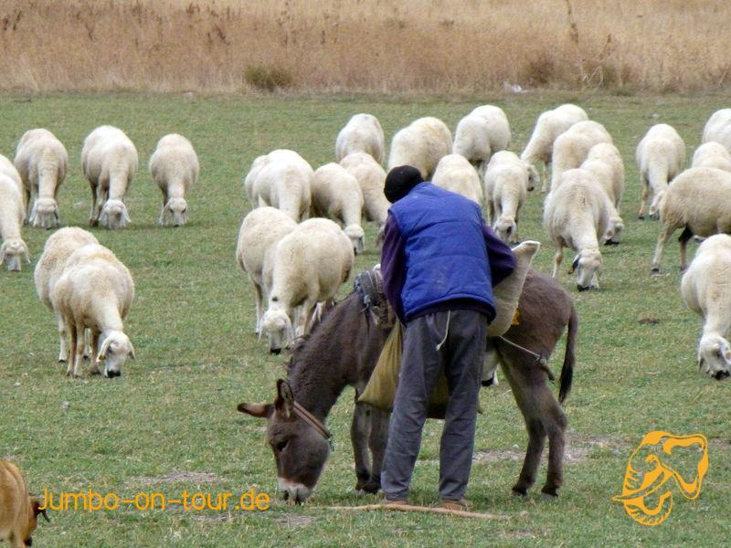 laden des Bildes fehlgeschlagen 