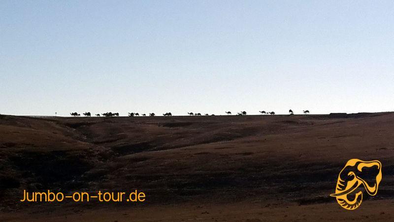  laden des Bildes fehlgeschlagen 